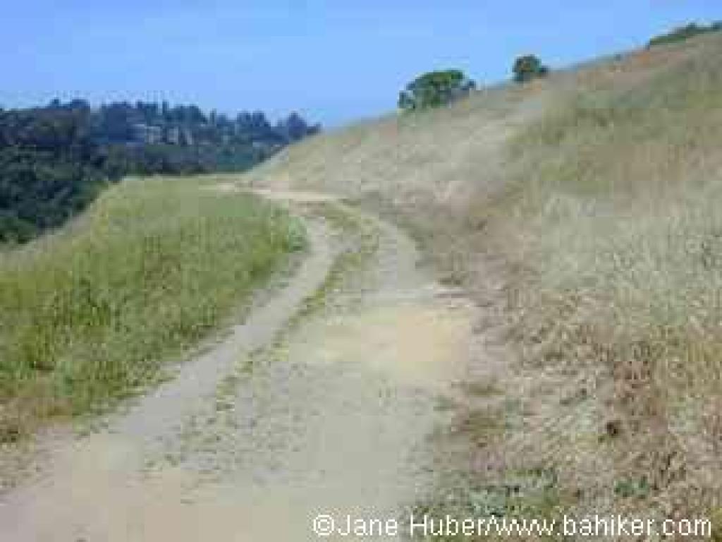 Meadows Canyon Trail
