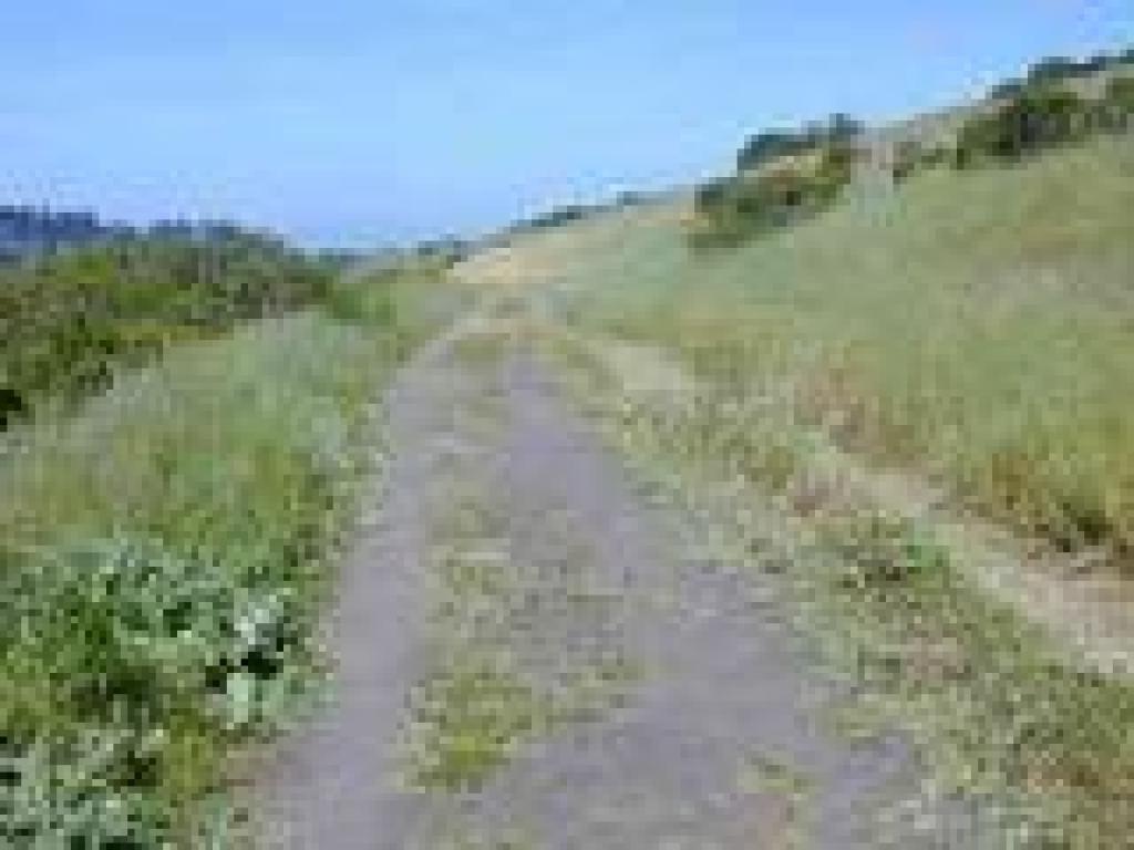 Meadows Canyon Trail