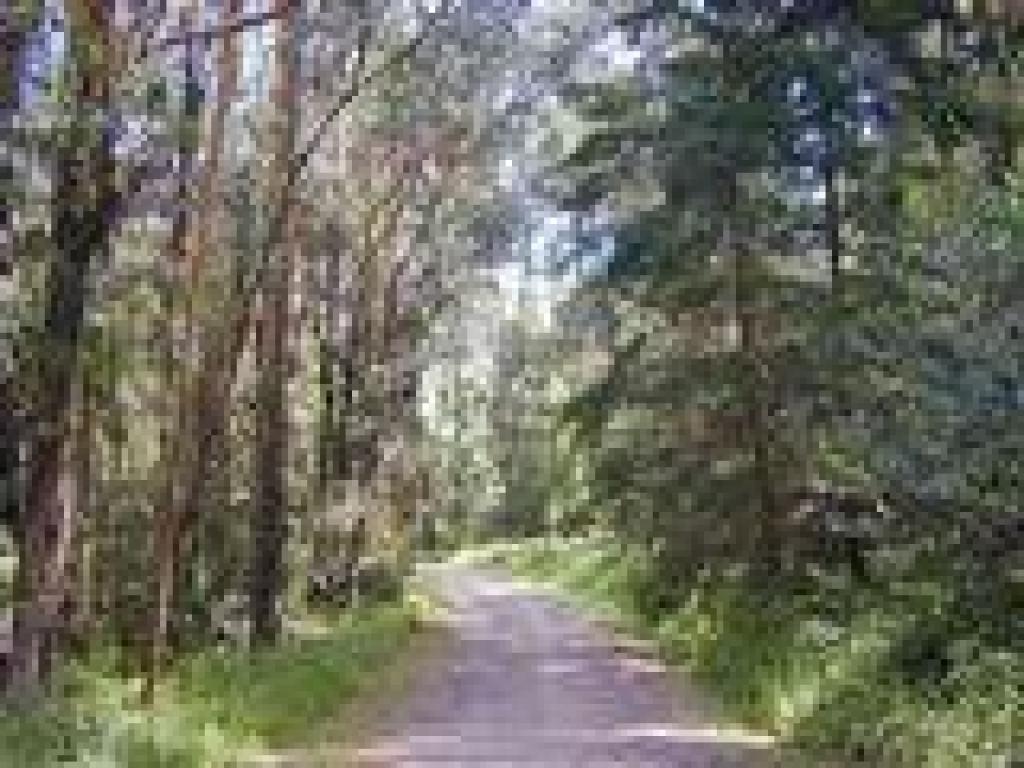 Loop Road
