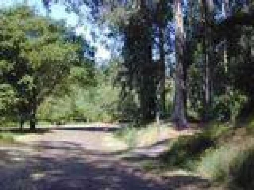 Junction