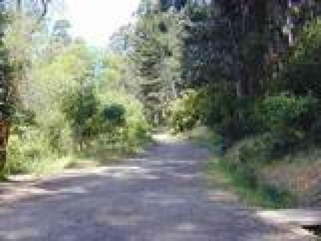 Wildcat Creek Trail