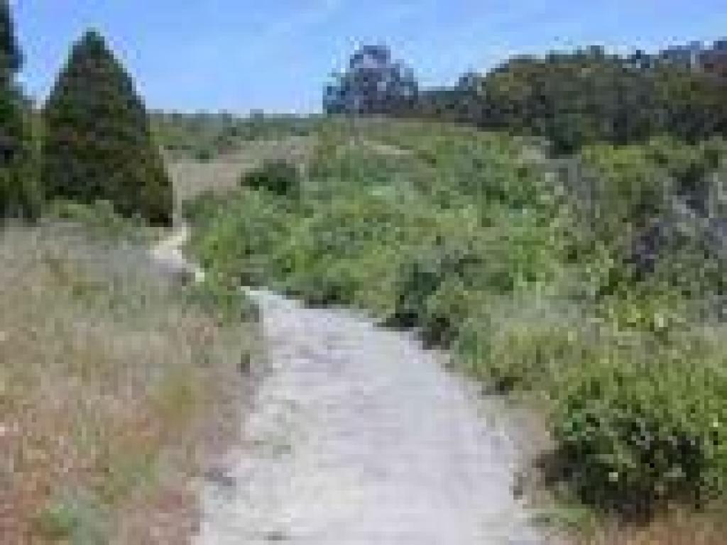 Approaching Rotary Peace Grove