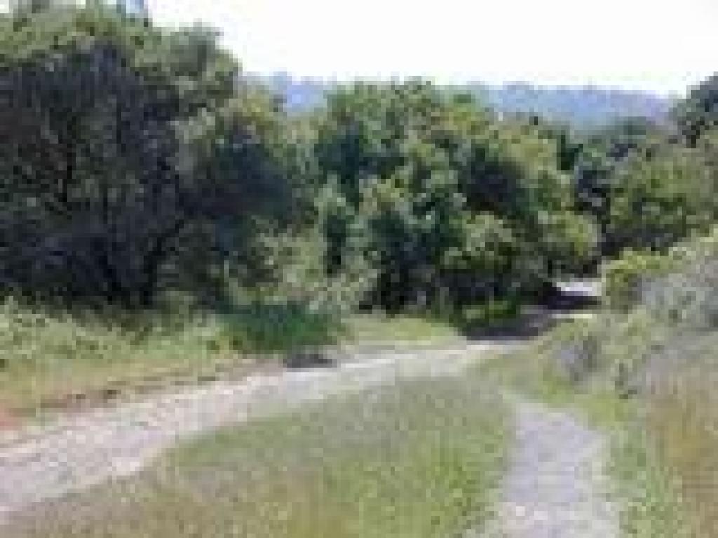 Junction