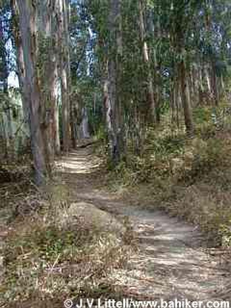 Wildcat Peak Trail