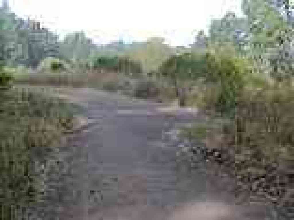 Junction with Meadows Canyon Trail