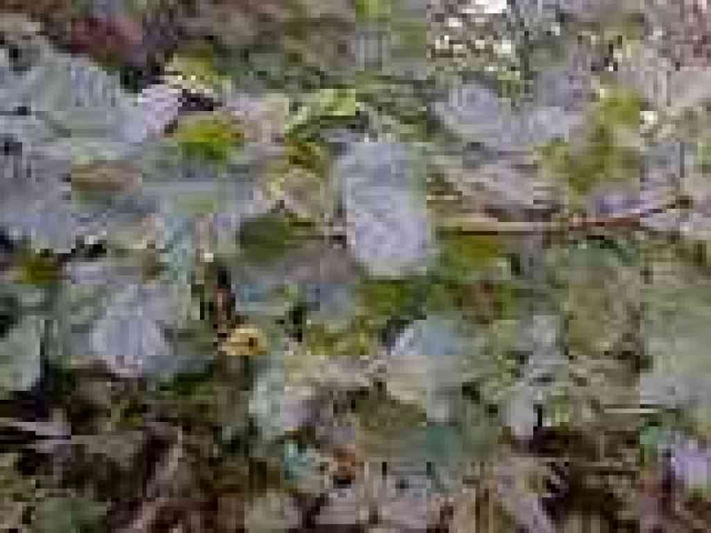 Poison oak