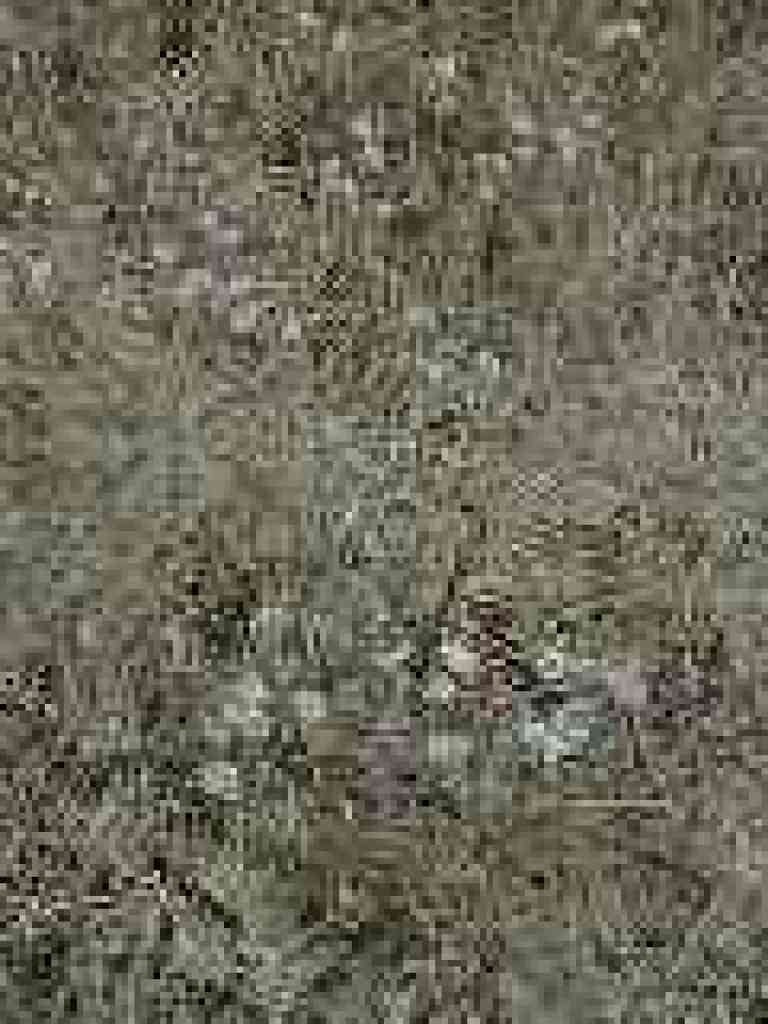 Buckwheat