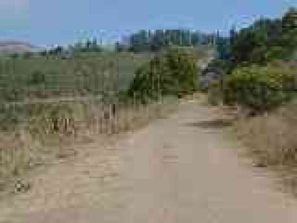 Meadows Canyon Trail