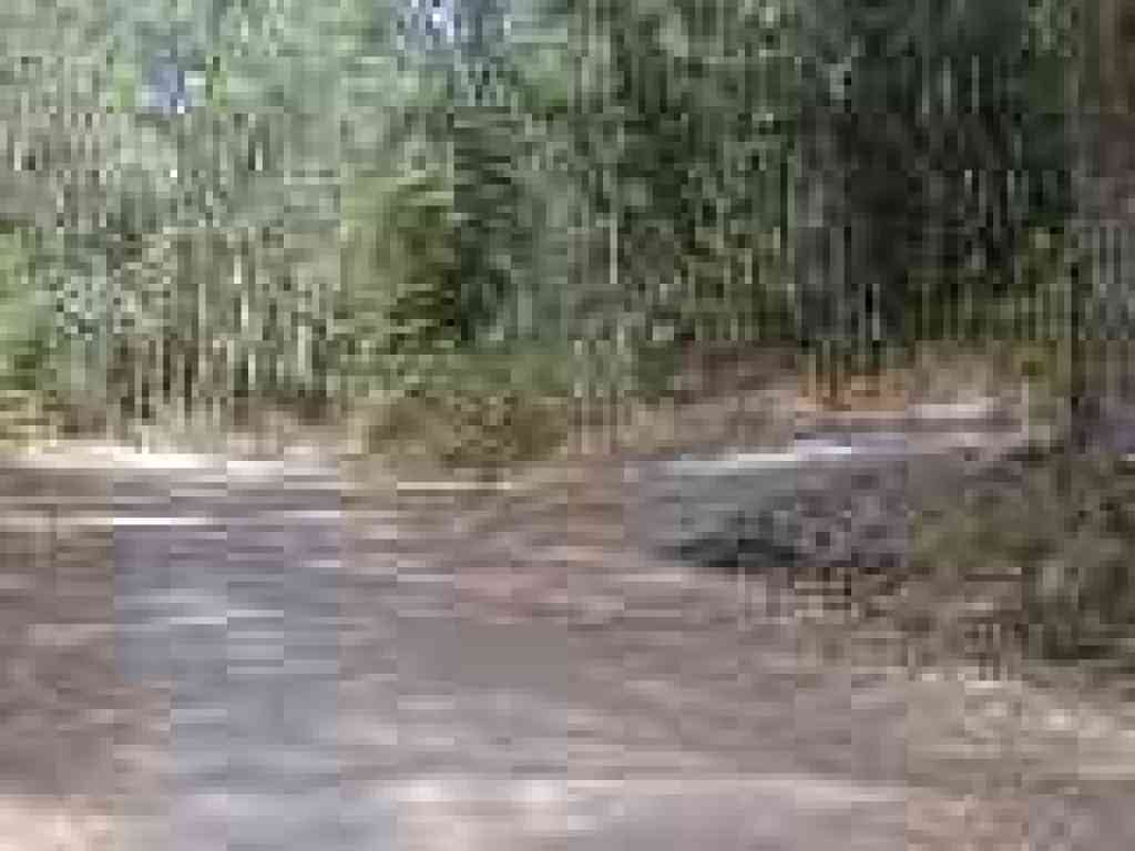 Junction