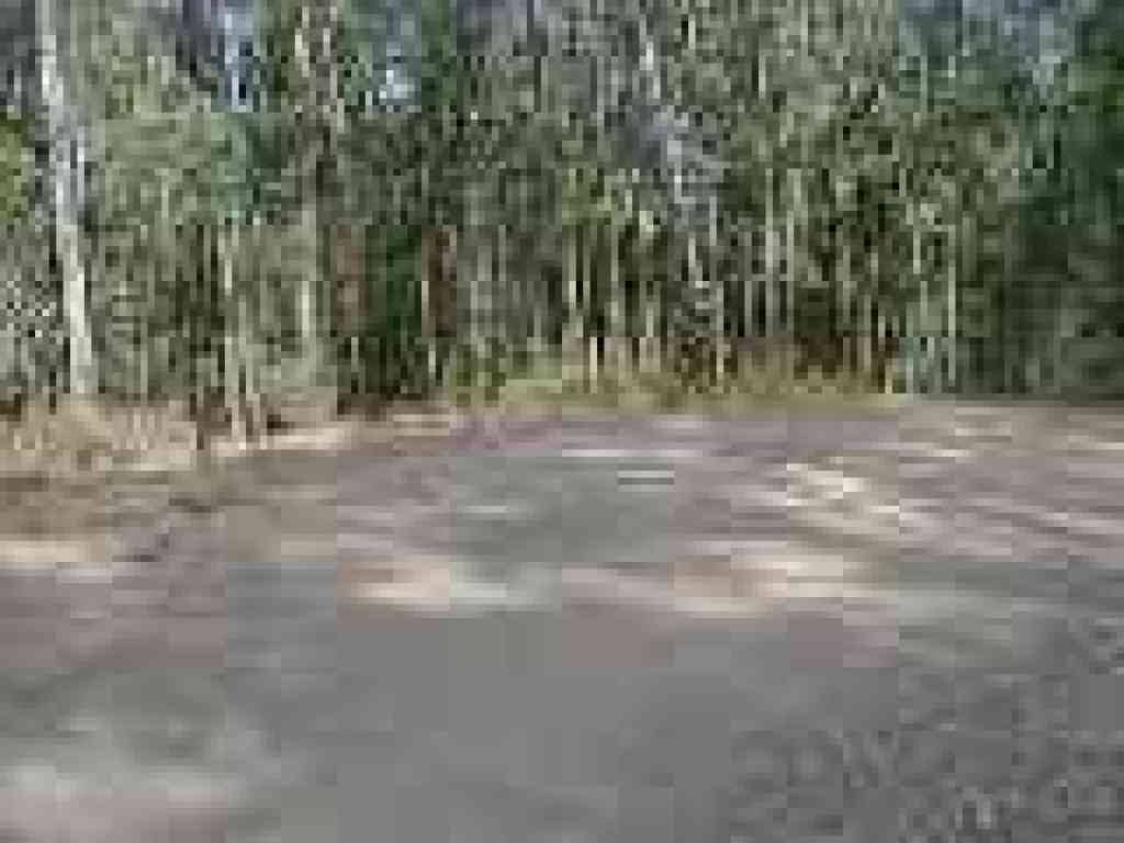 Junction