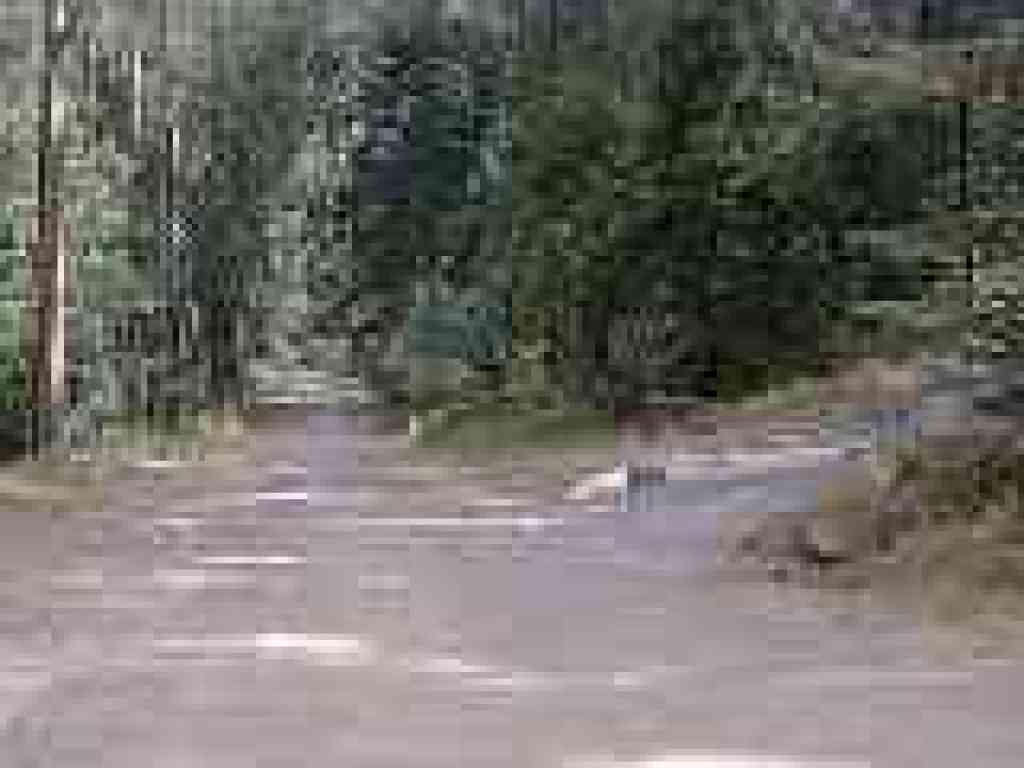 Junction