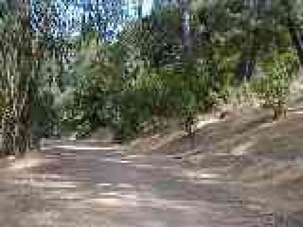 Junction