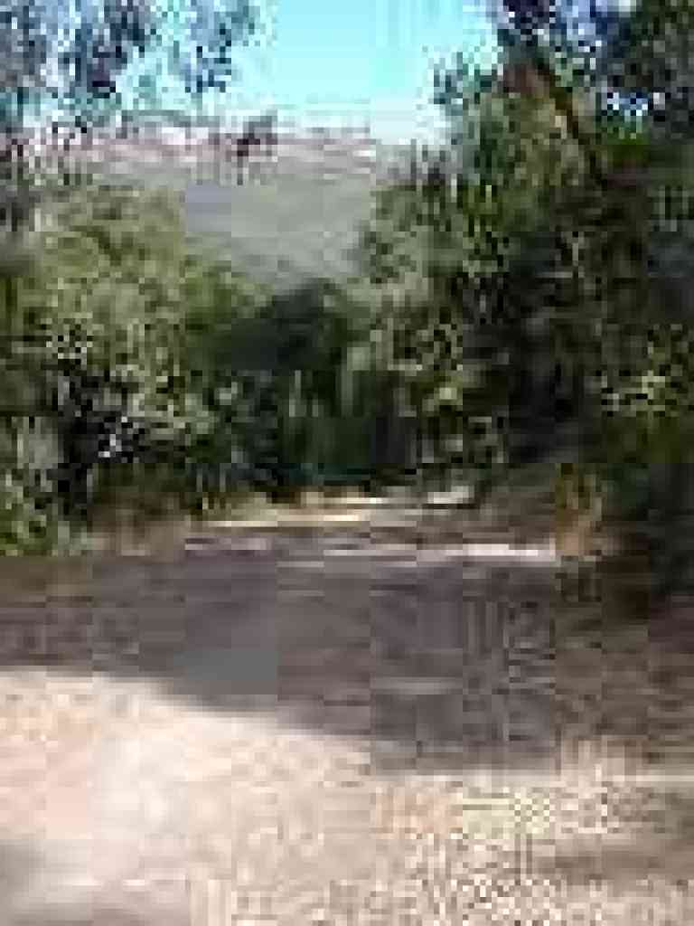 Ridge visible