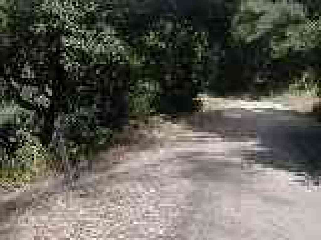 Junction with Laurel Canyon Trail