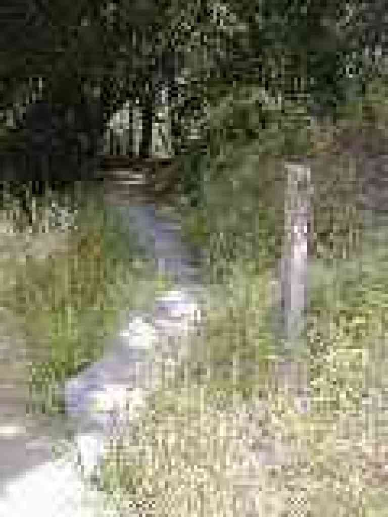 Laurel Canyon Trail