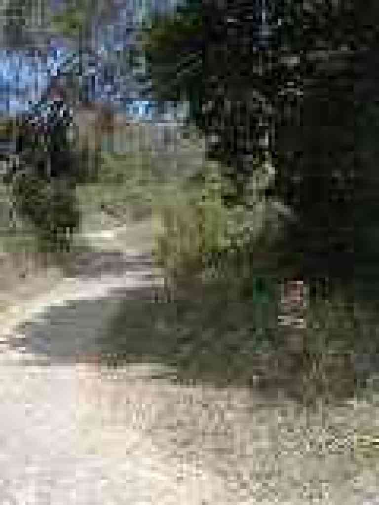 Laurel Canyon Road