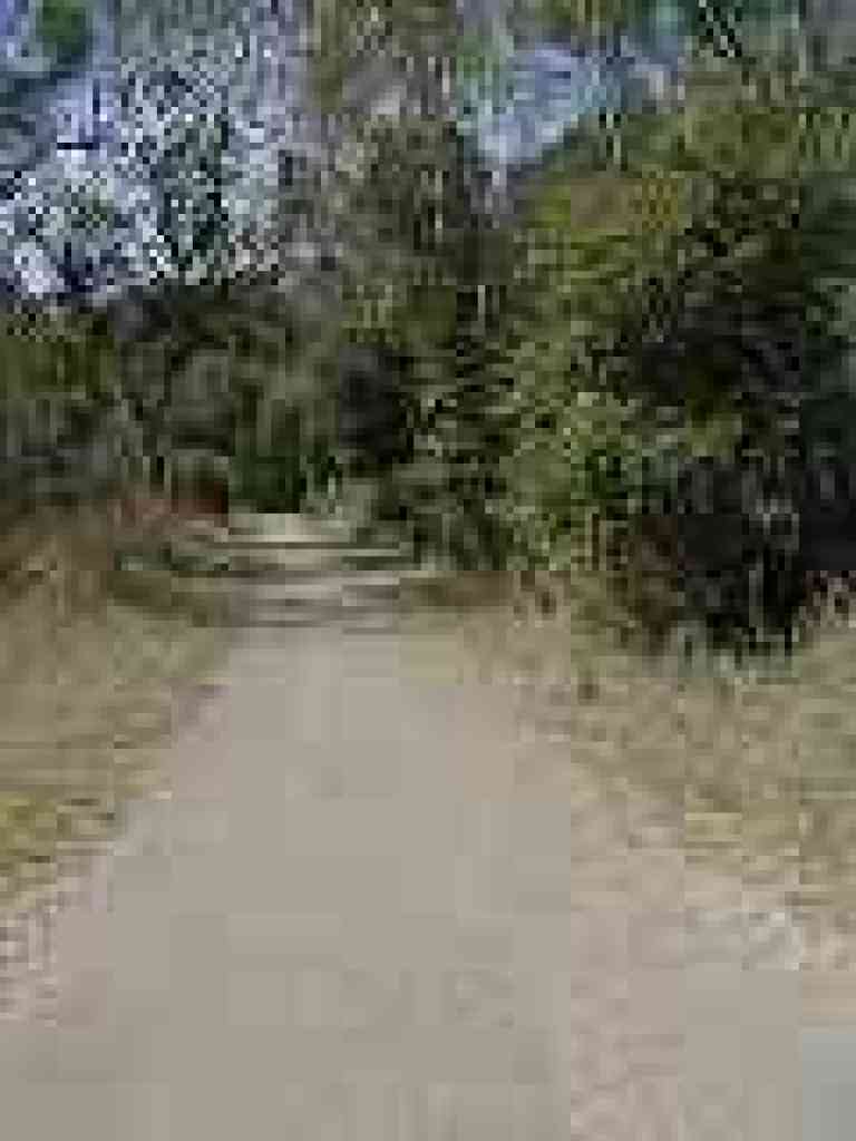 Loop Road