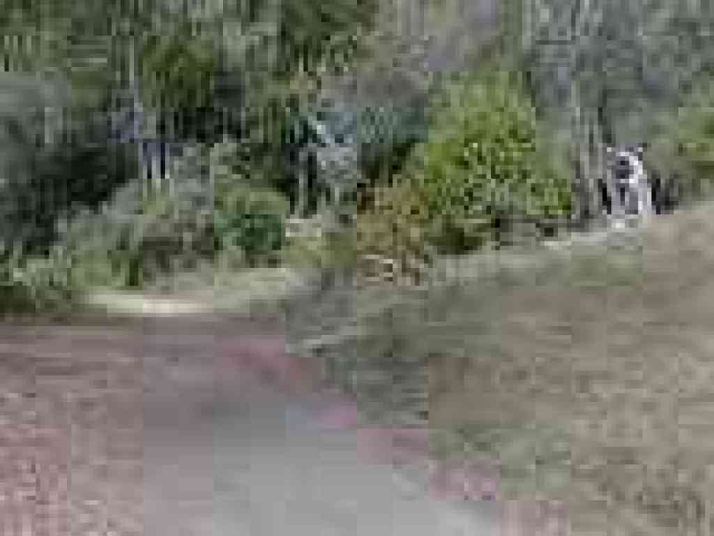 Tilden Regional Park