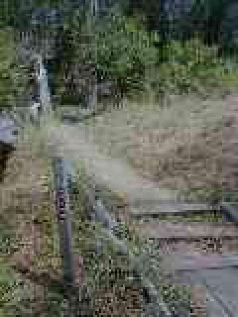 Sylvan Trail
