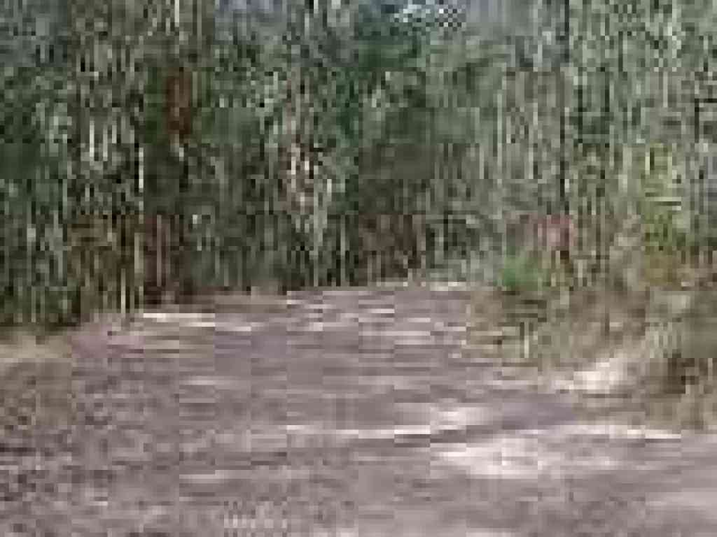 Loop Road