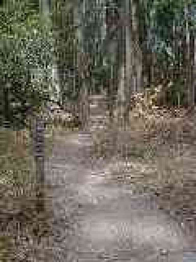 Jewel Lake Trail