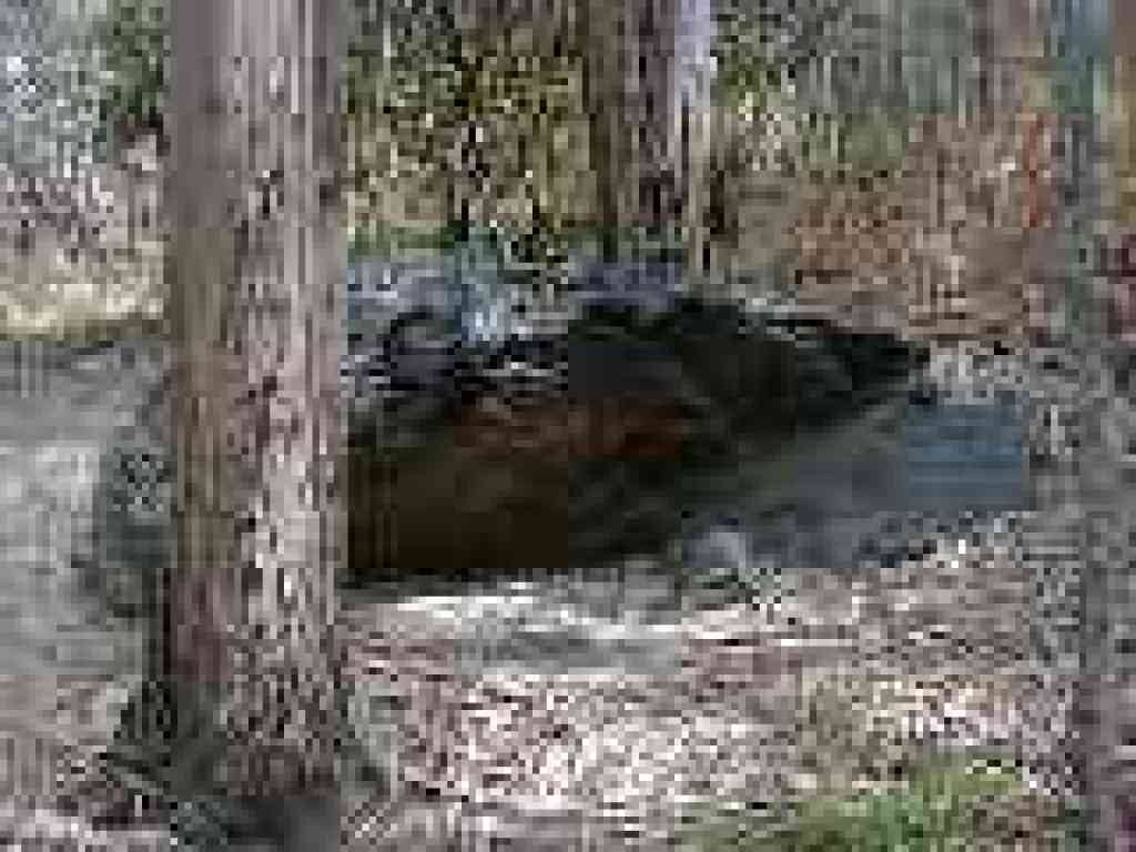 Big rock