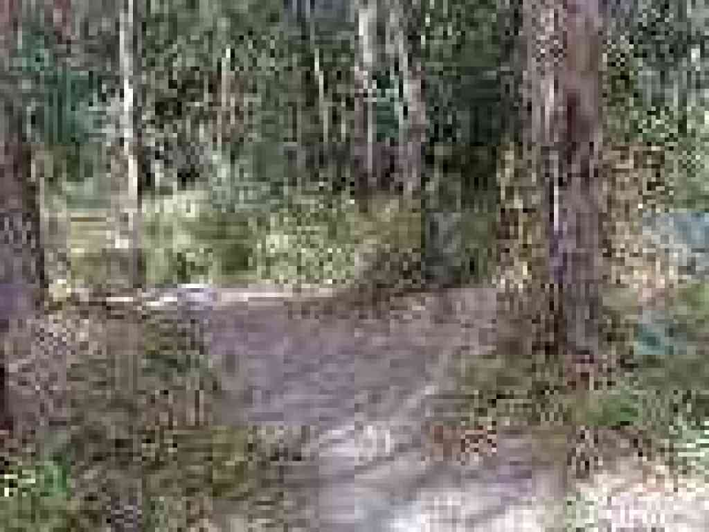 Junction