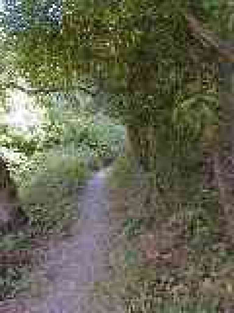 Narrow path