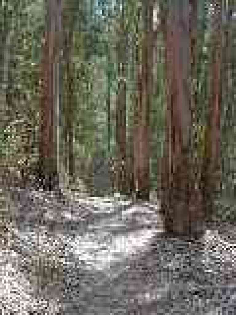 Approaching junction