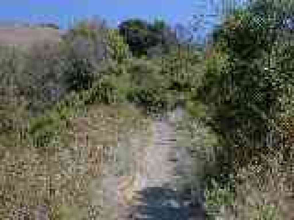 Climbing to the ridge