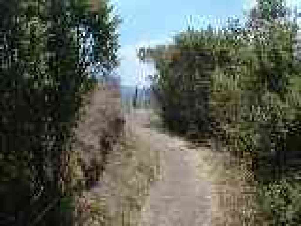 Junction with hogback