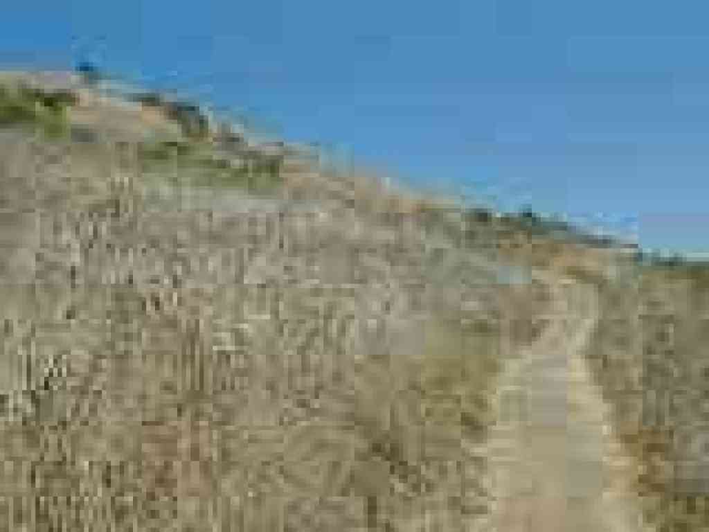 Through grassland