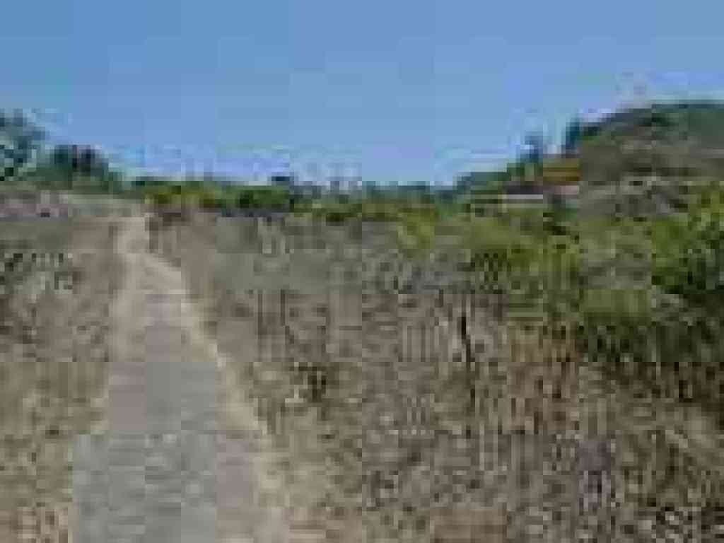 Trail levels out
