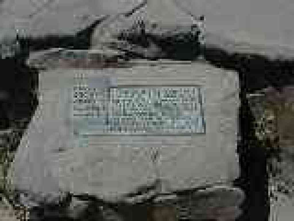 Plaque