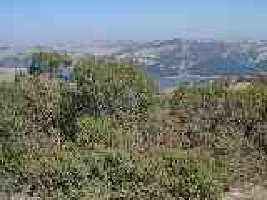 View northeast