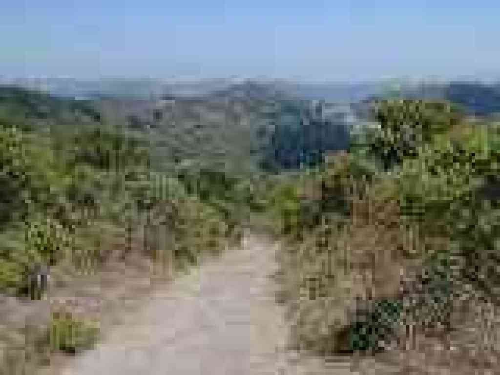 Steep drop