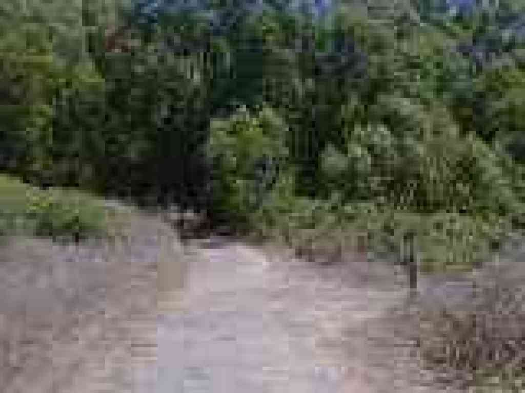 Junction