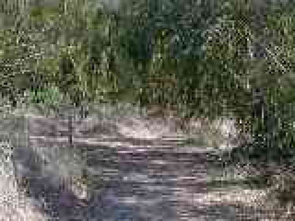 Junction