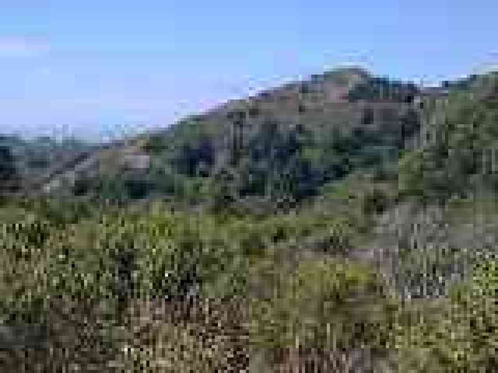 Looking back to Wildcat Peak