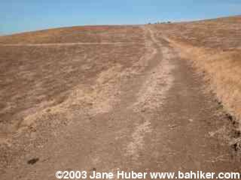 Meadowlark Ridge Loop