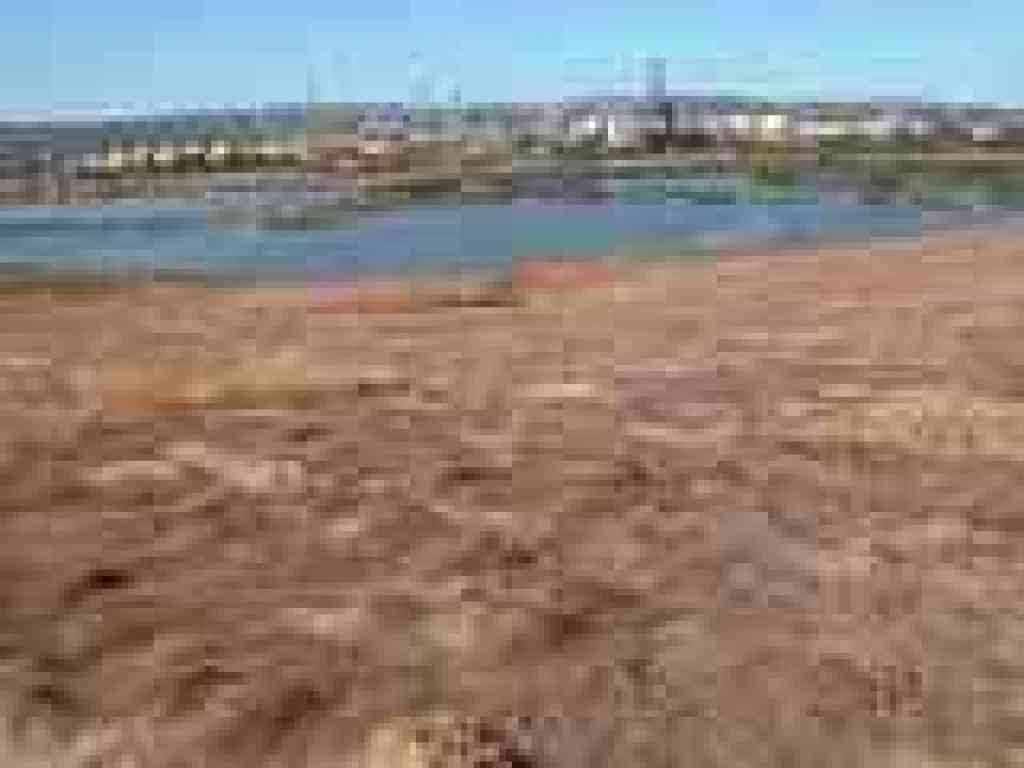 Waterbird Regional Preserve
