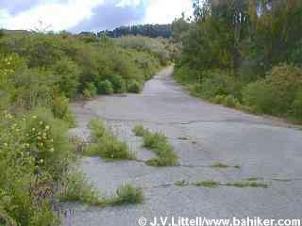 Wildcat Creek Trail