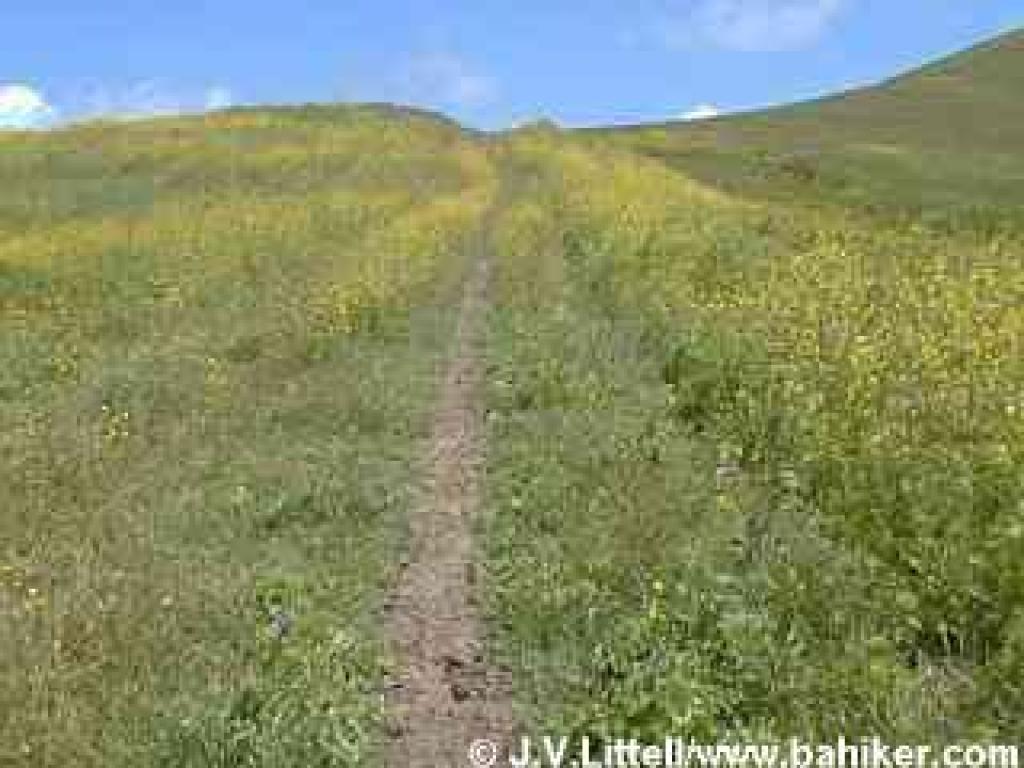 Photo of Mezue Trail