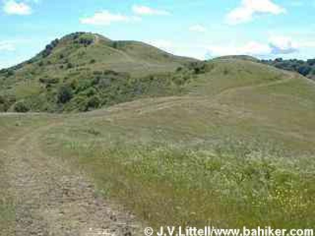 A view back to Wildcat Peak