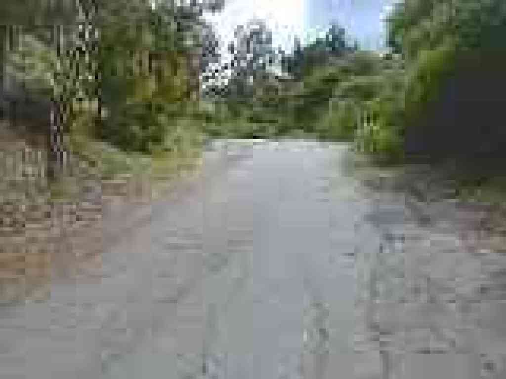 Hike begins on pavement
