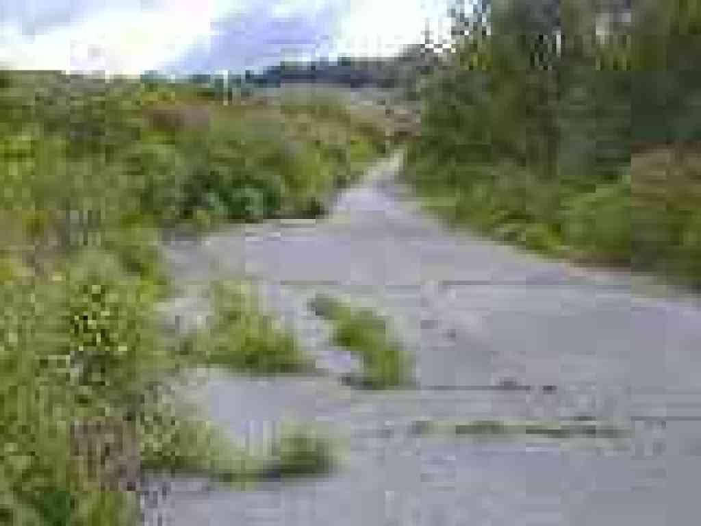 Wildcat Creek Trail