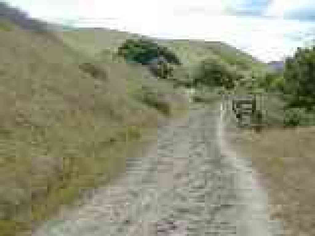 Pretty stretch of trail