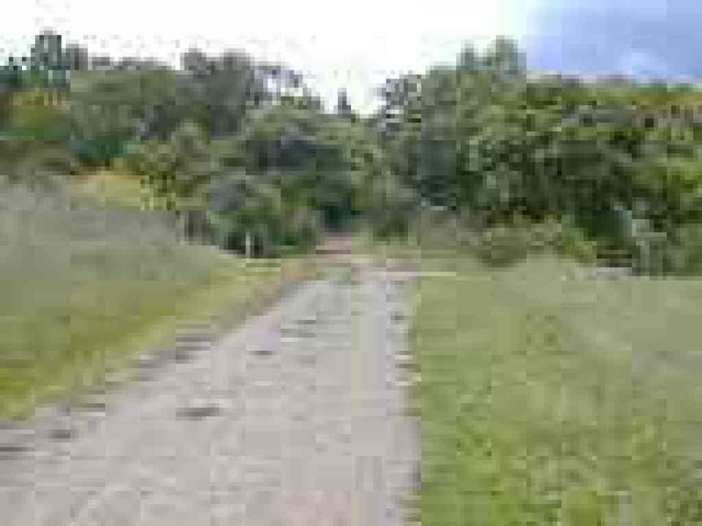 Junction with Mezue Trail