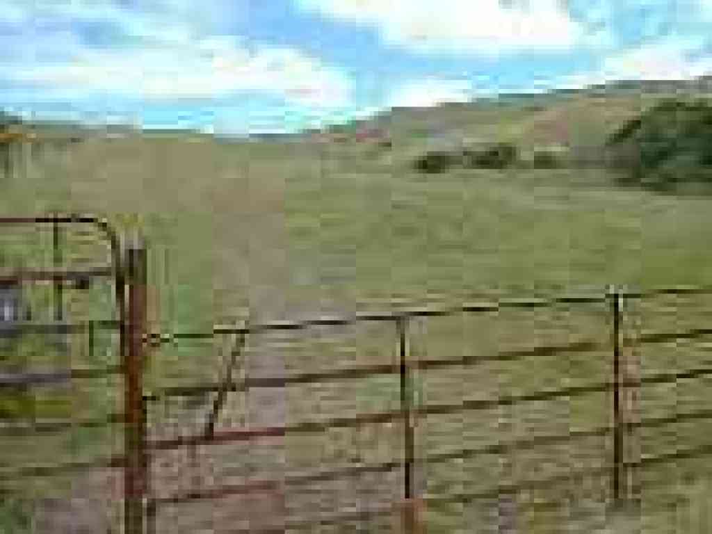 Gate, then a climb