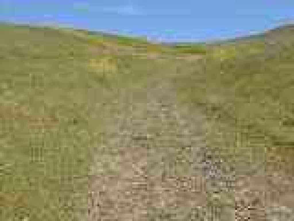 Rutted dirt trail